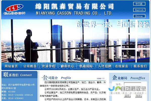 网页制作公司：专业网站设计与开发，助力企业在线成功