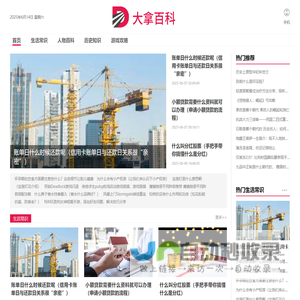 大拿百科
